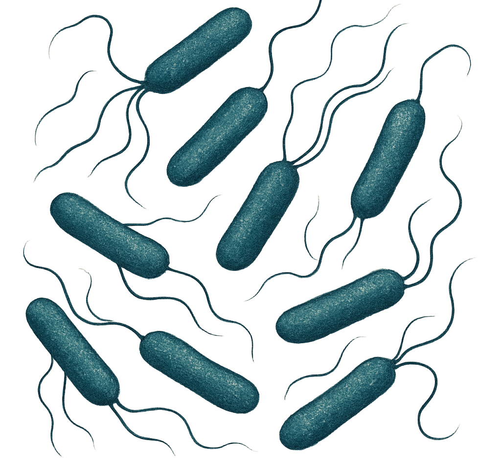 Antibiotic Medium Nº 23